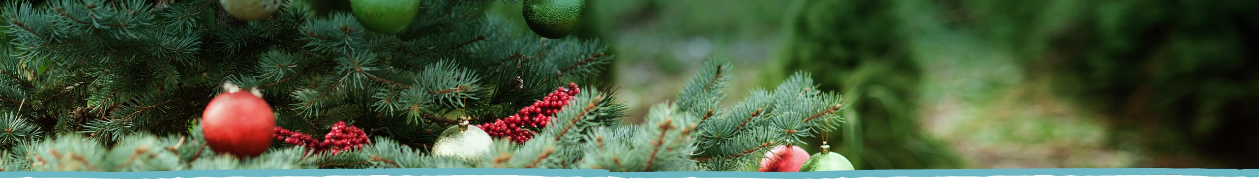 Holiday Gift Guide Desktop