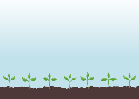 Seed Starting Image
