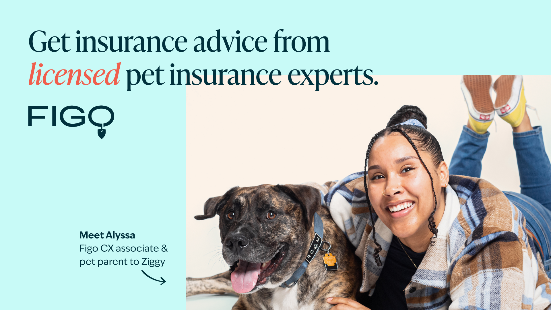 Get Insurance advice from licensed pet insurance experts. FIGO Meet Alyssa Figo CX Associate & pet parent to Ziggy