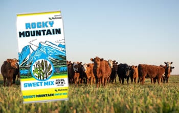 Rocky Mountain Sweet Mix