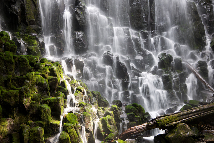 image9294m.png