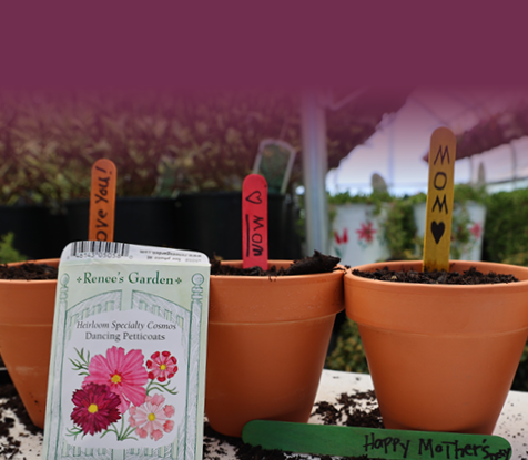 Plant a Pot for Mom Mobile