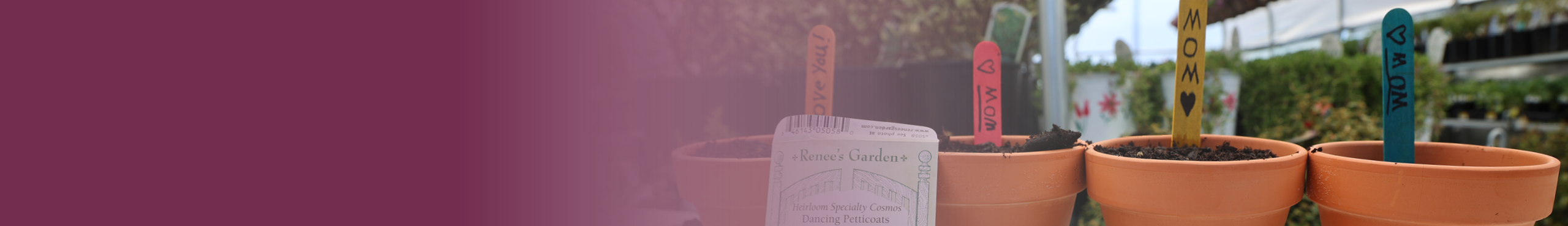 Plant a Pot for Mom Desktop