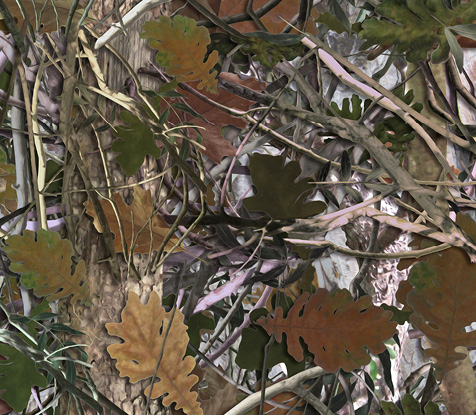 Spring Hunting