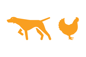 Pets Icon