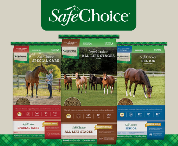 SafeChoice