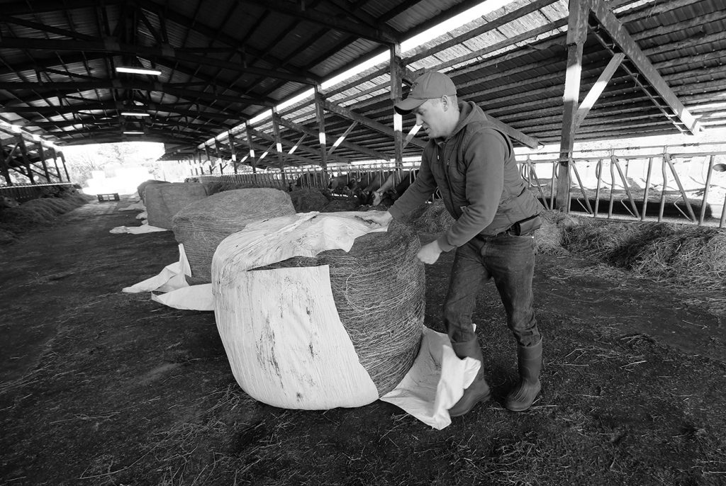 Black and white hay barrels