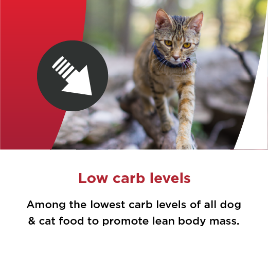 Low carb levels Among the lowest carb levels of all dog & cat food to promote lean body mass.