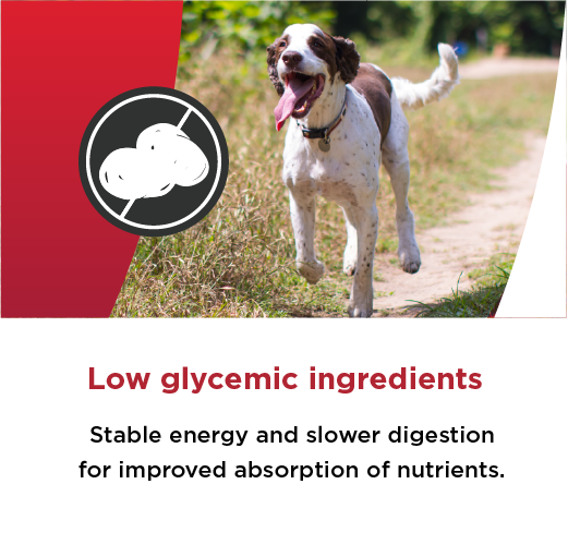 Low glycemic ingredients Stable energy and slower digestion for improved absorption of nutrients.
