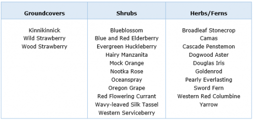 PNW Native Plants