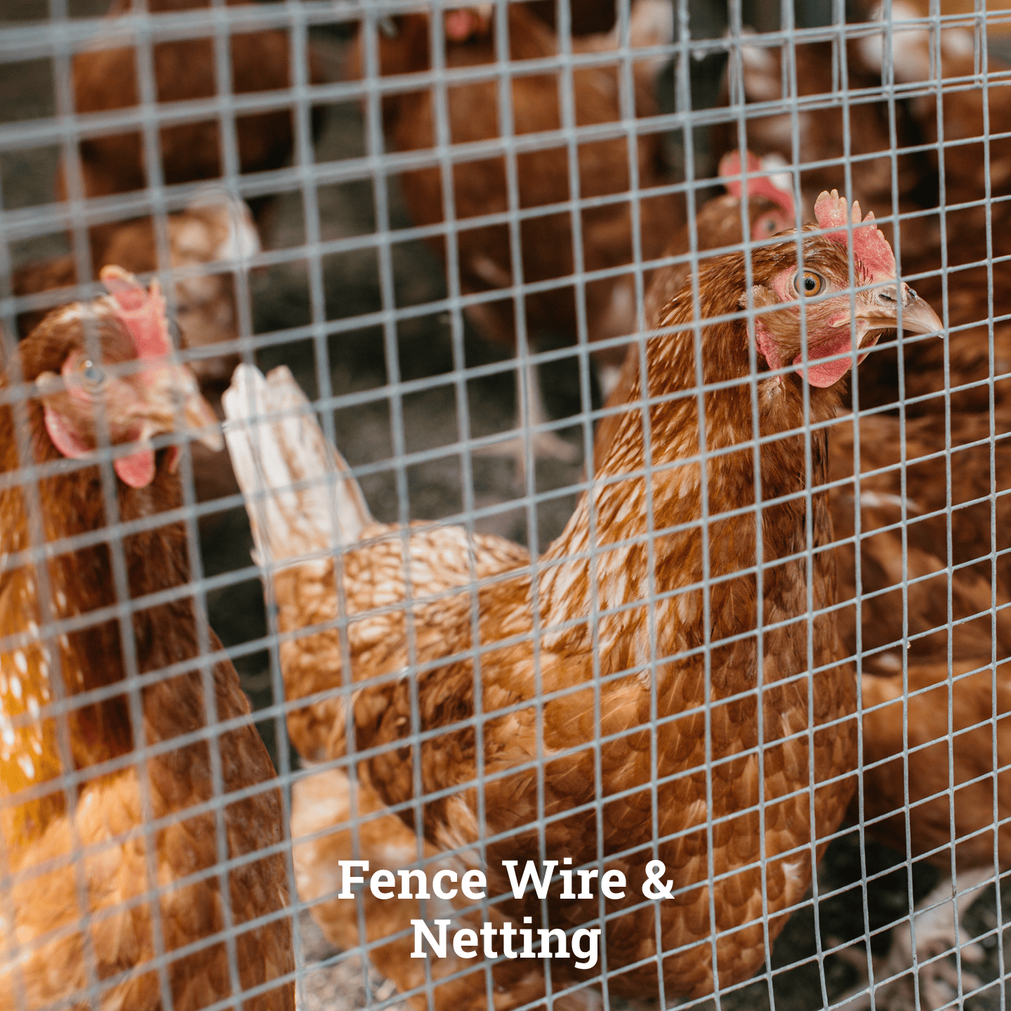 Fence Wire & Netting