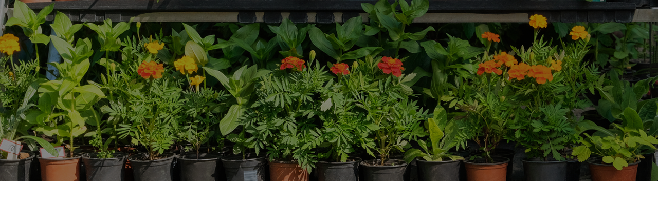 Greenhouses