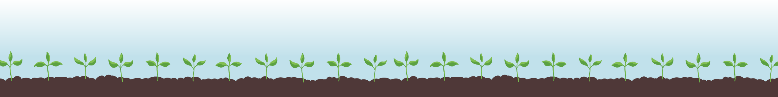 Seed Starting Image