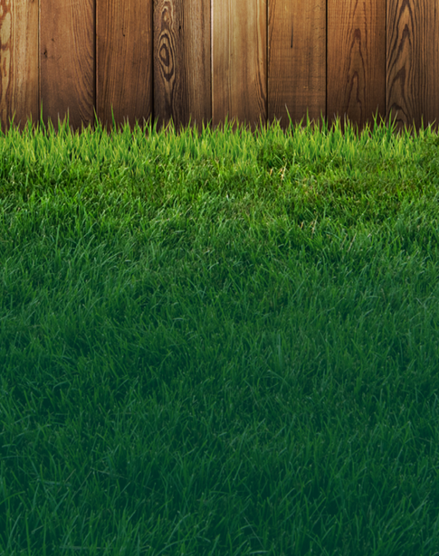Cut Above Lawn