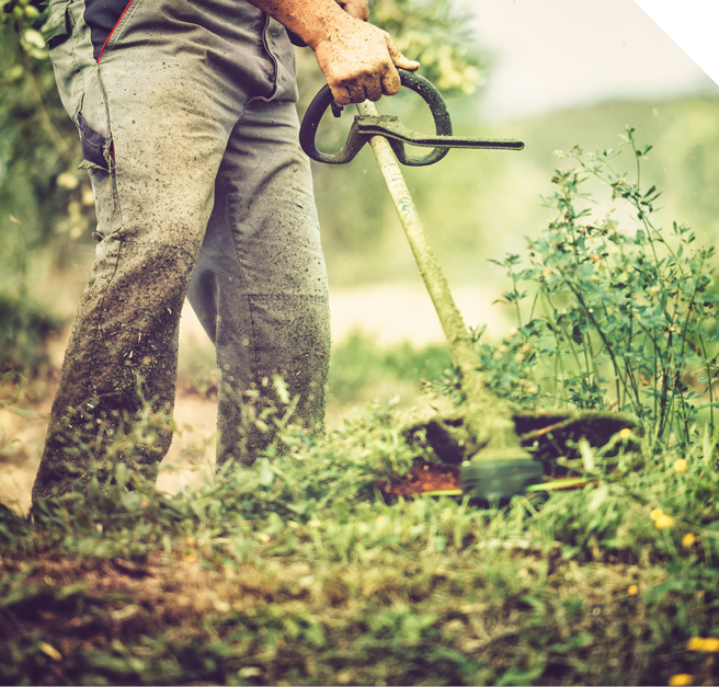 Lawn Equipment