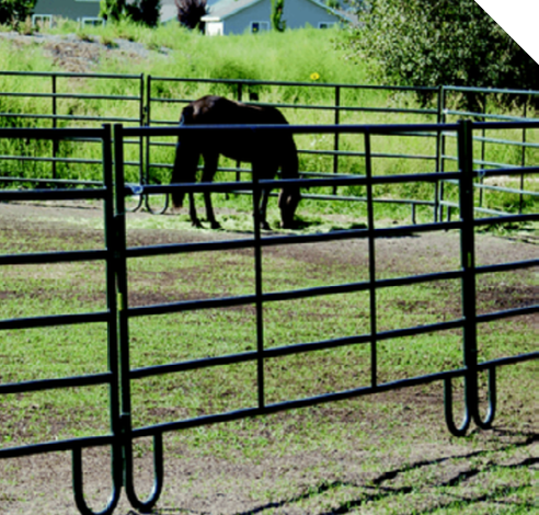 Fencing