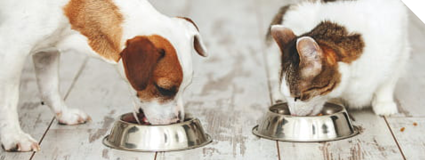Pet Food