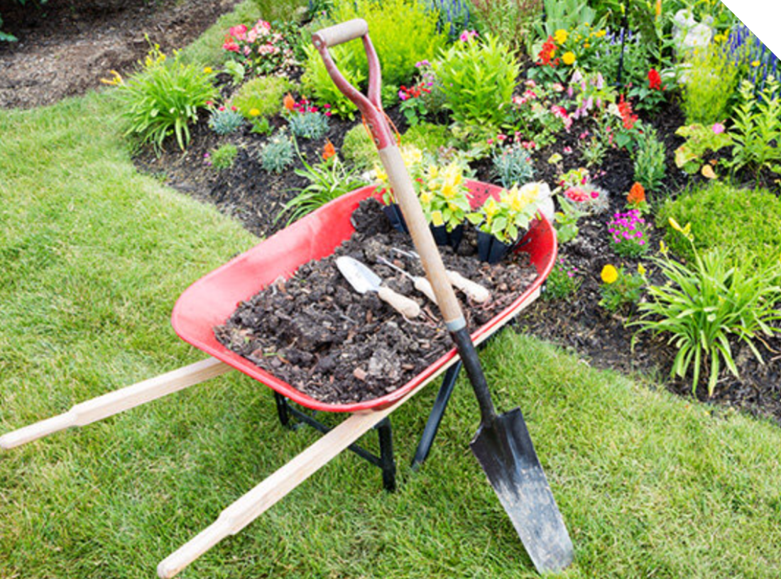 Lawn & Garden
