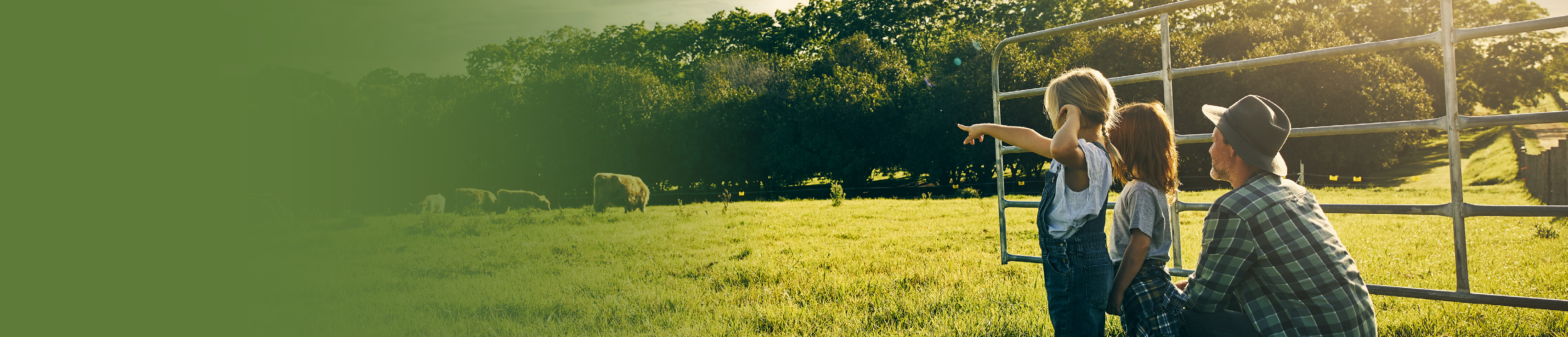 Barn Bonanza Sale Desktop Image