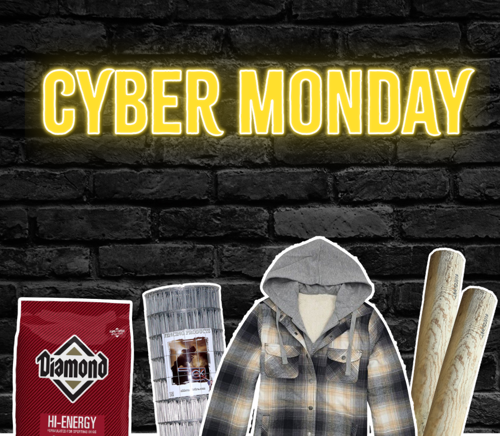 Cyber Monday Sale Banner