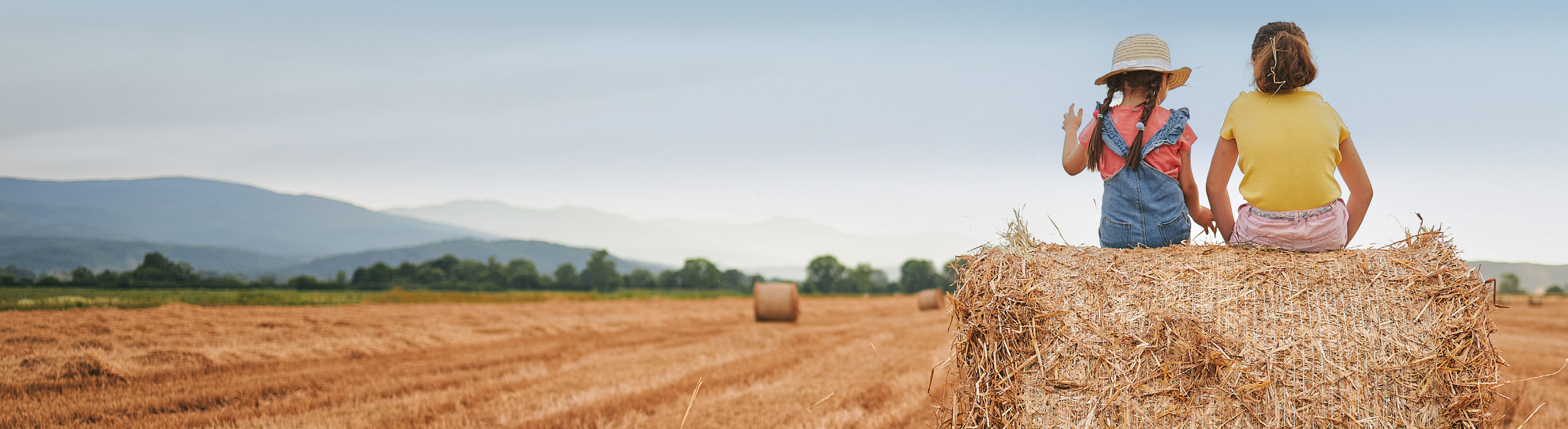 Haydays Sale Desktop