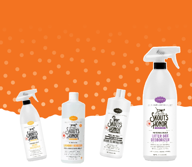 Scouts Honor Cleaning Solutions