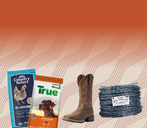 November Cyber Sale Banner