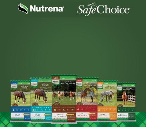 Nutrena Promo Mobile