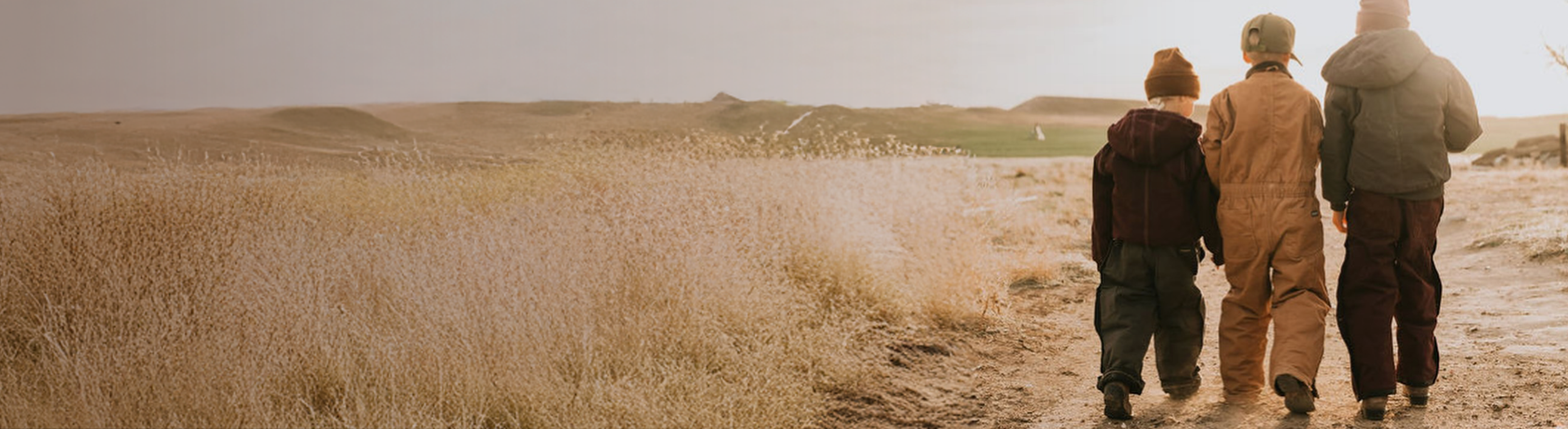 Pre-Black Friday Sale Desktop