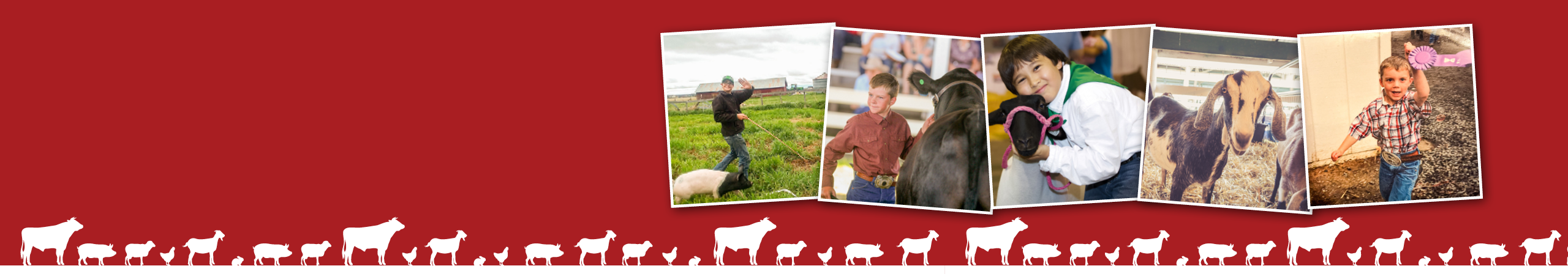 Show Season Guide Desktop Image