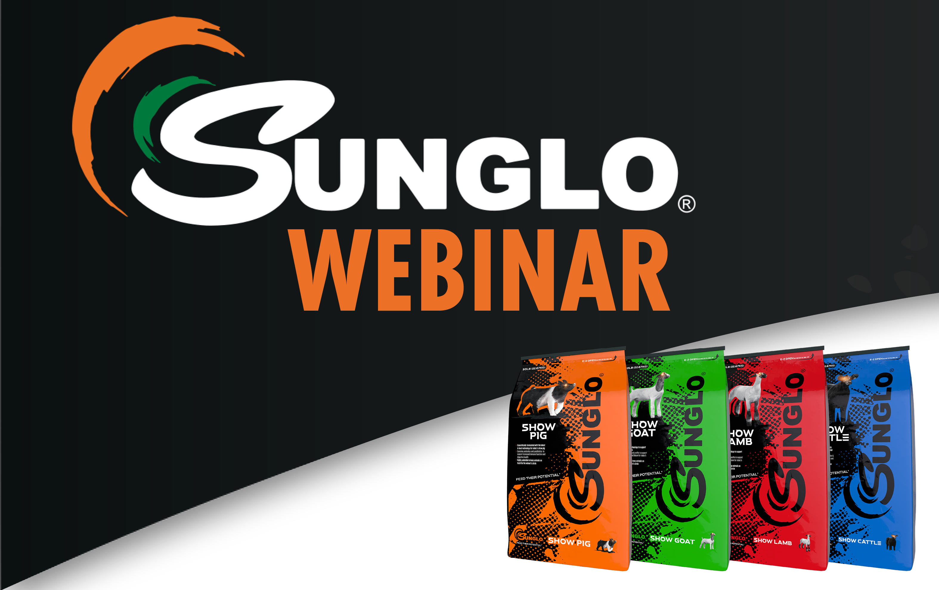 Sunglo Webinar
