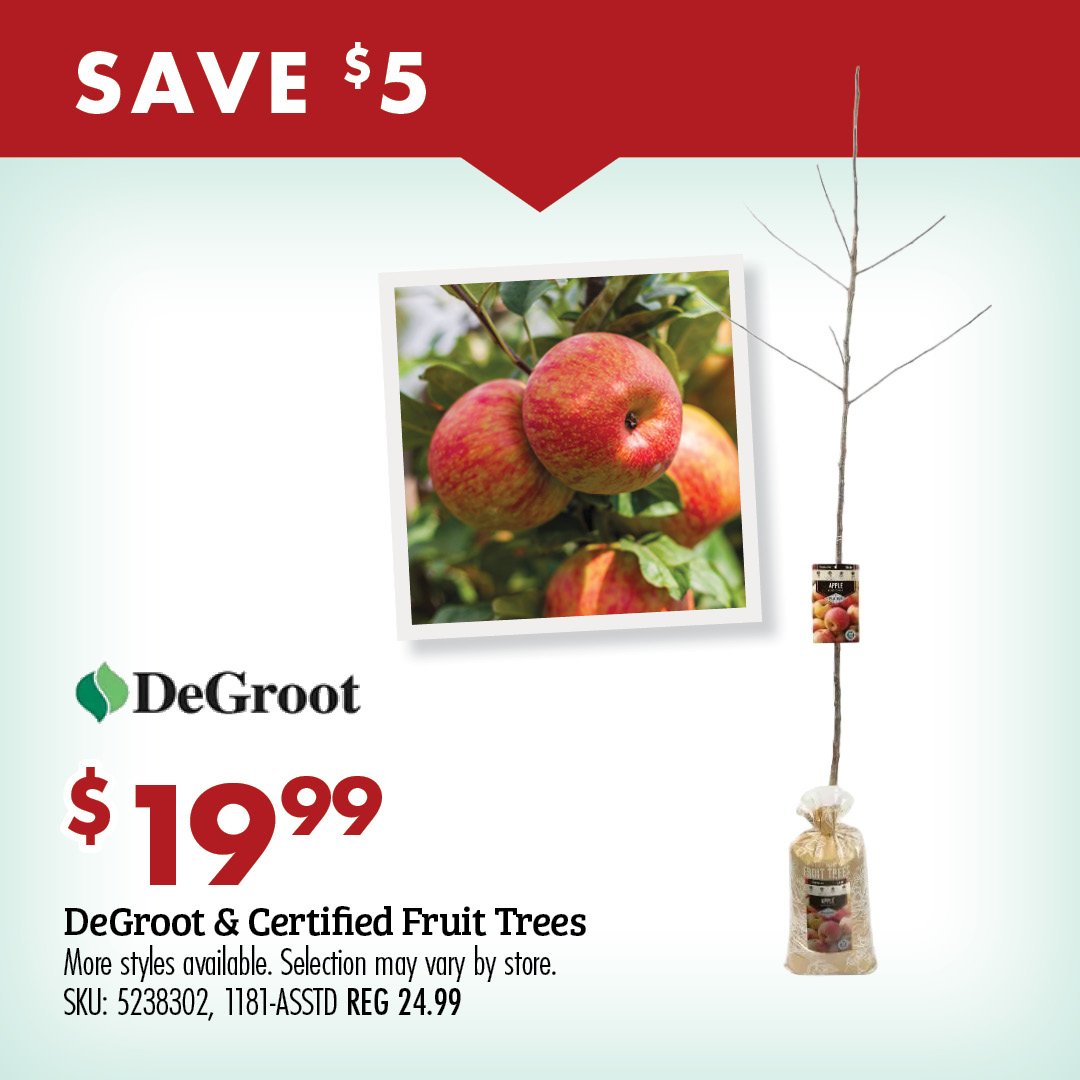 SAVE $5 $19.99 DeGroot & Certified Fruit Trees More styles available. Selection may vary by store. SKU: 5238302, 1181-ASSTD REG 24.99