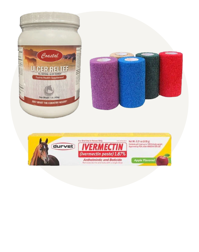 Equine Health