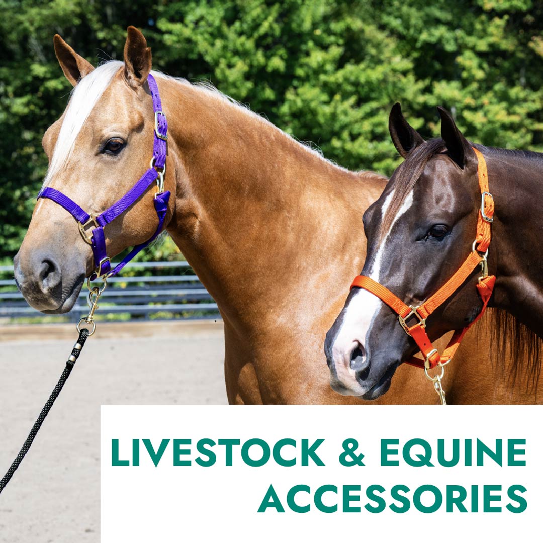 Livestock & Equine Accessories