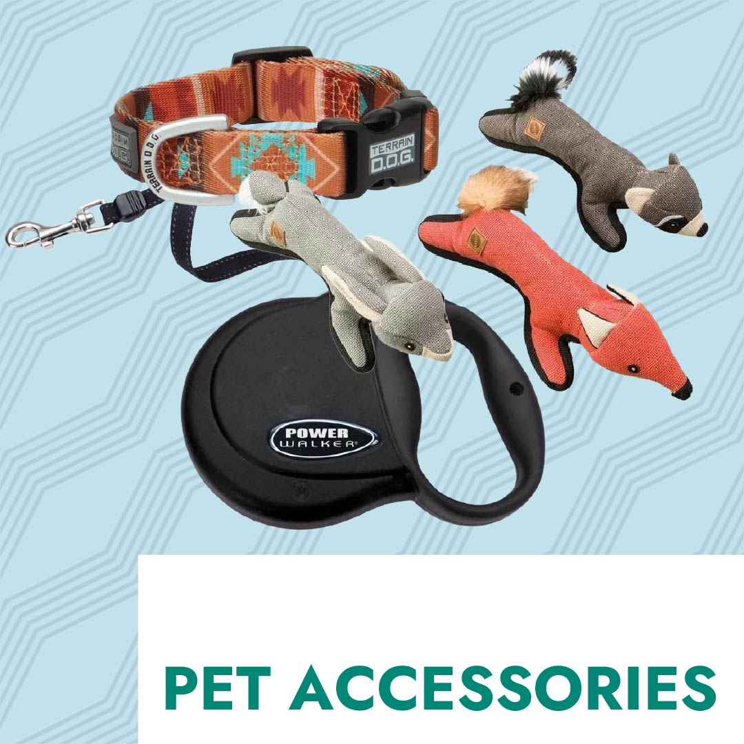 Pet Accessories