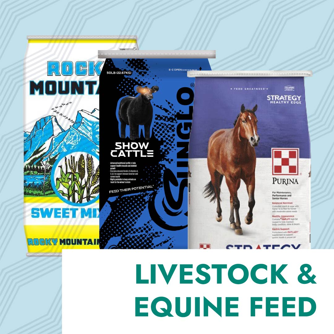 Livestock & Equine Feed