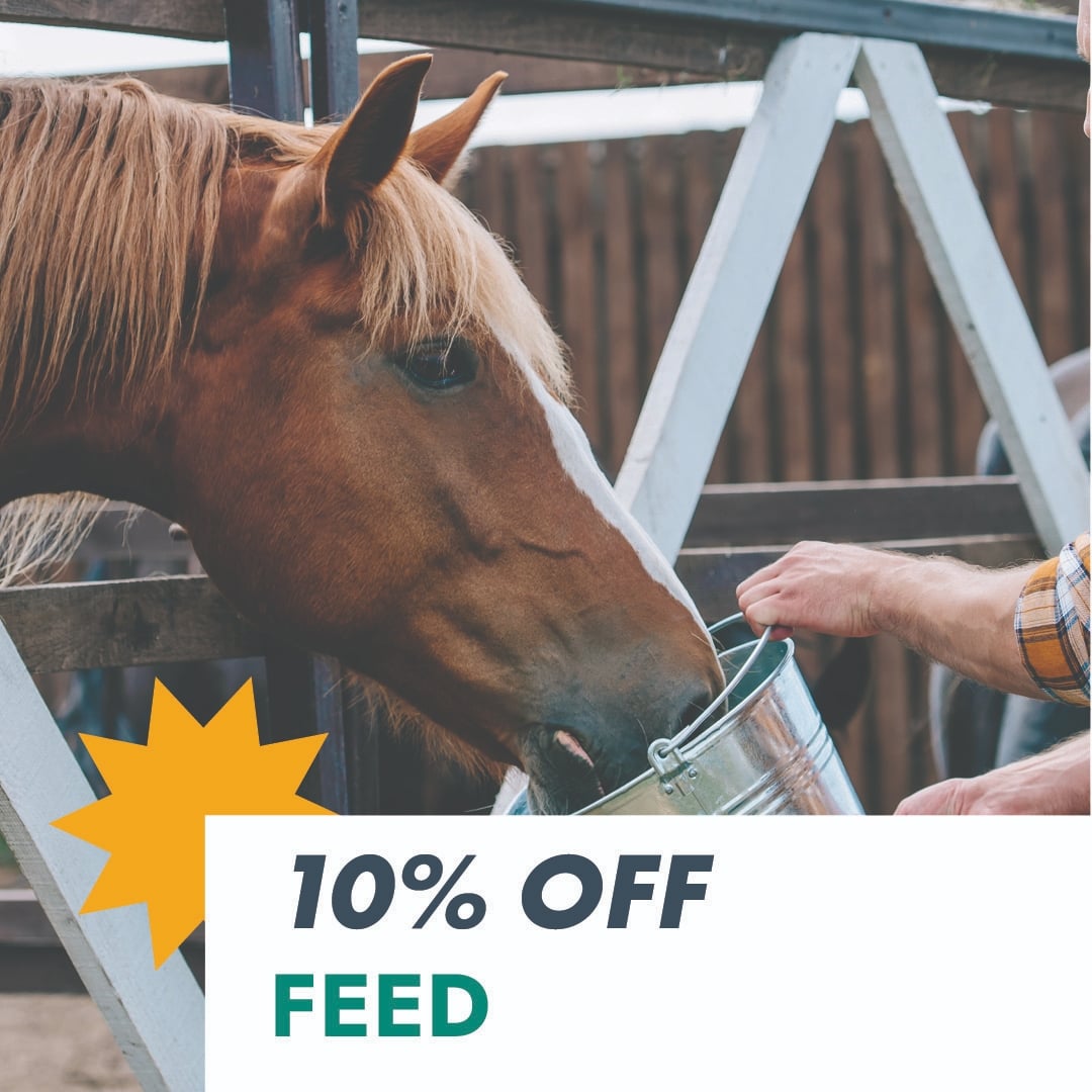 10% OFF FEED