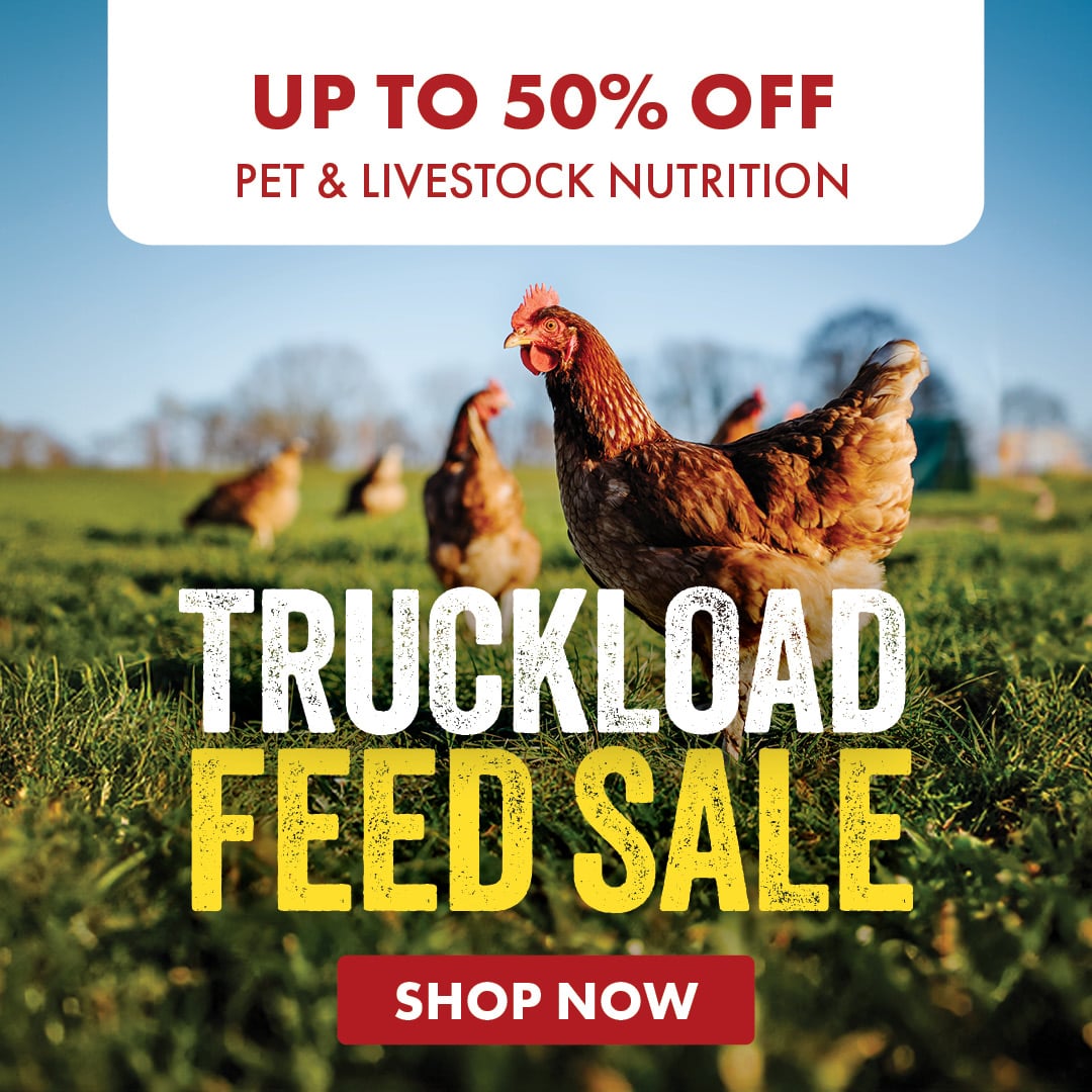 UP TO 50% OFF PET & LIVESTOCK NUTRITION TRUCKLOAD FEED SALE SHOP NOW