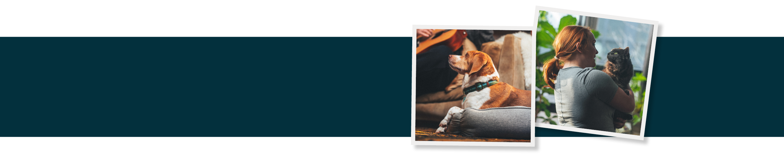 Figo Desktop Top Header