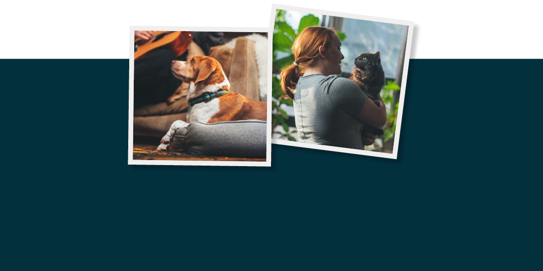 Figo Mobile Image Top Header