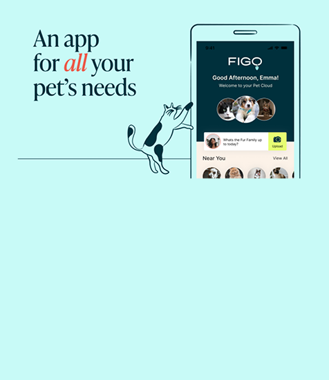 An app for all your pet's needs FIGO Good Afternoon Emma!