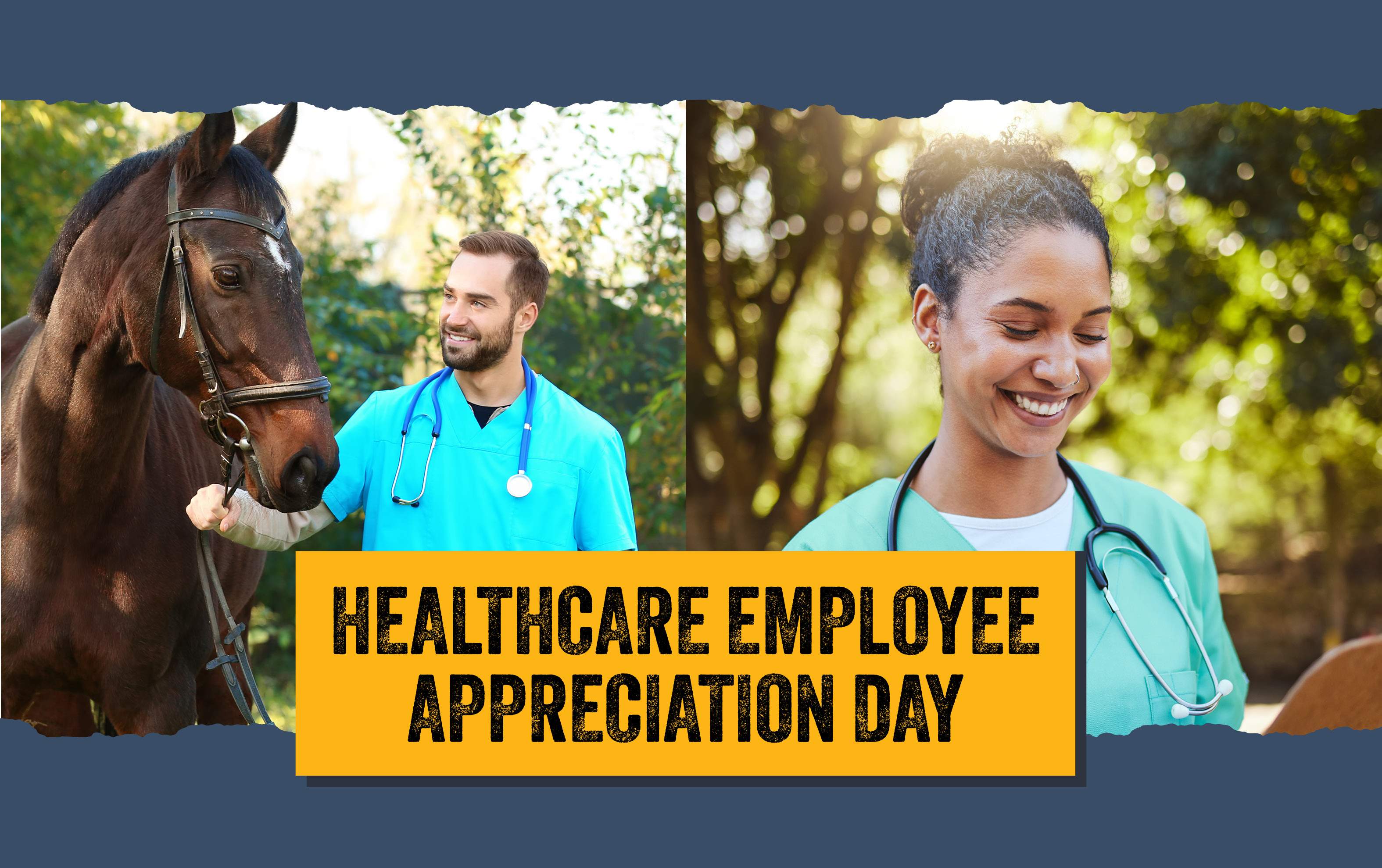 Healthcare Appreciation Day