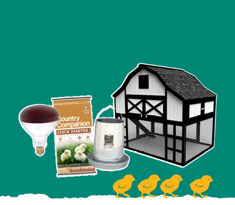 FROM THE POULTRY EXPERTS Chick Guide LEARN MORE