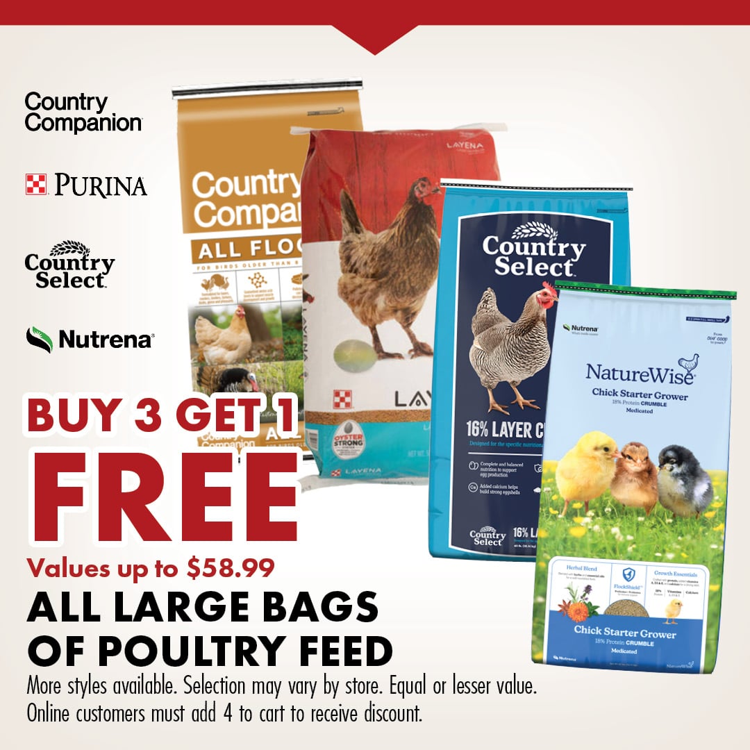 Country Companion PURINA Country Select Nutrena BUY 3 GET 1 FREE Values up to $58.99 ALL LARGE BAGS OF POULTRY FEED More styles available. Selection may vary by store. Equal or lesser value. Online customers must add 4 to cart to receive discount. 
