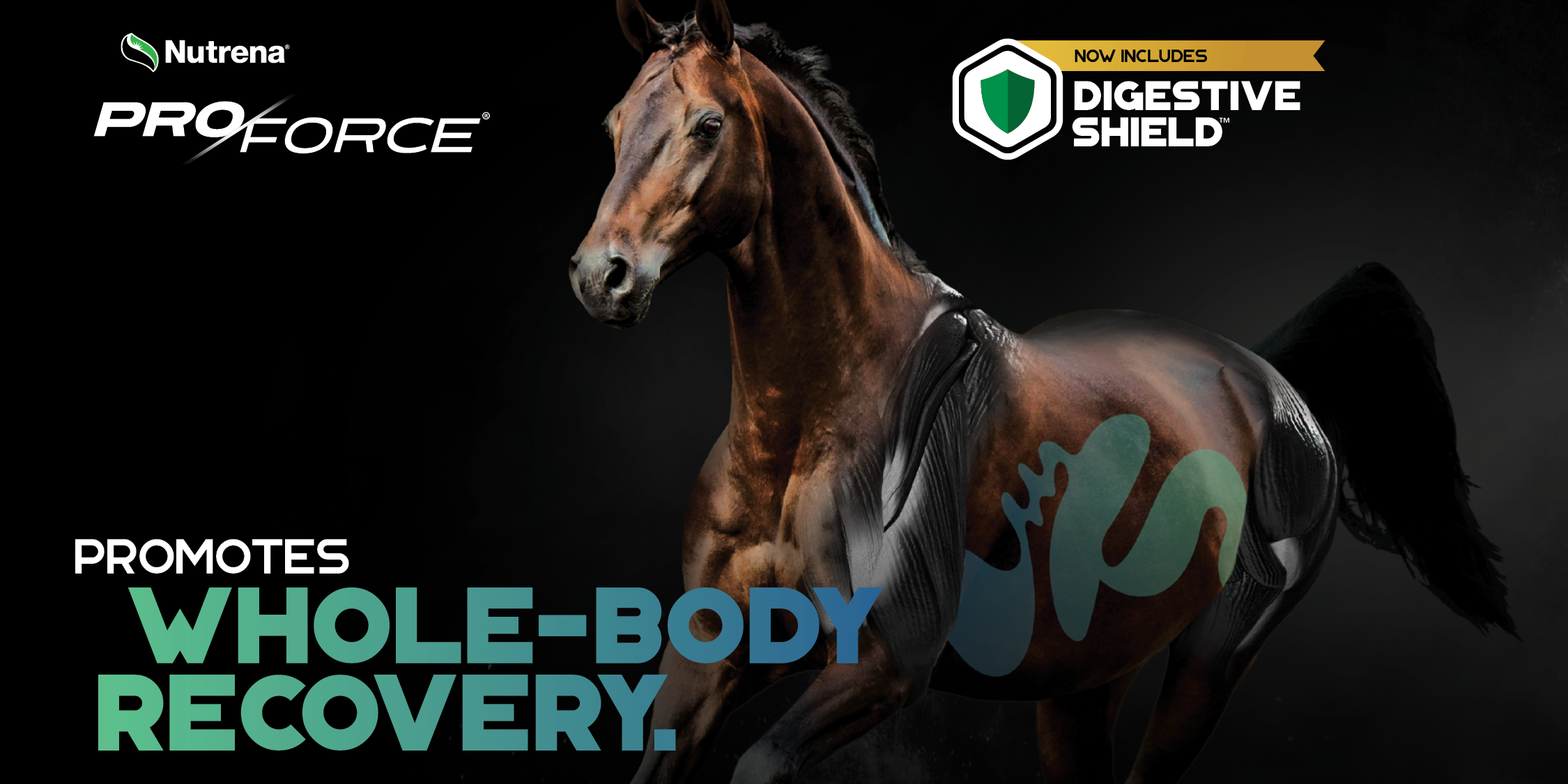 PRO FORCE NOW INCLUDES DIGESTIVE SHIELD PROMOTES WHOLE-BODY RECOVERY