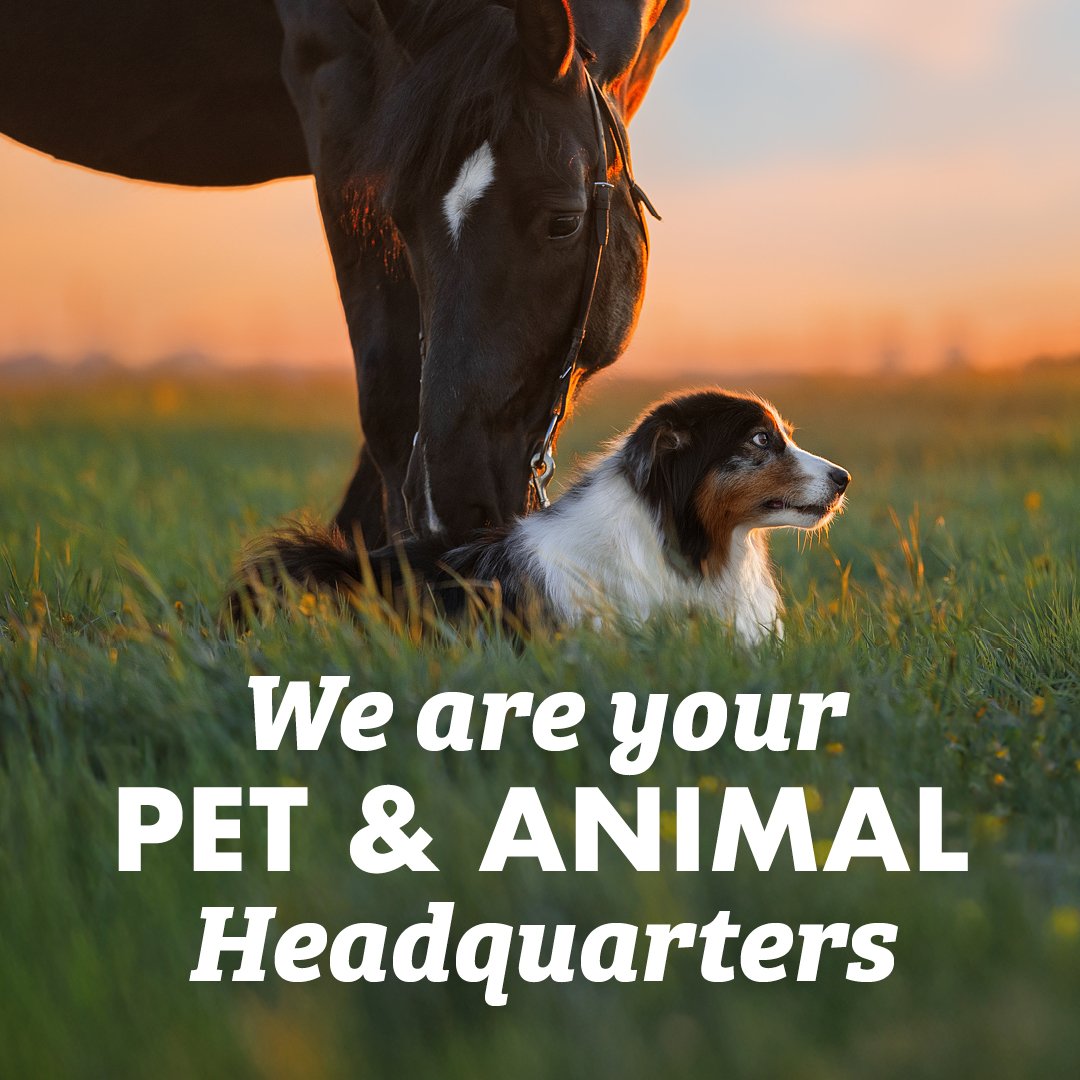 We are your PET & ANIMAL Headquarters