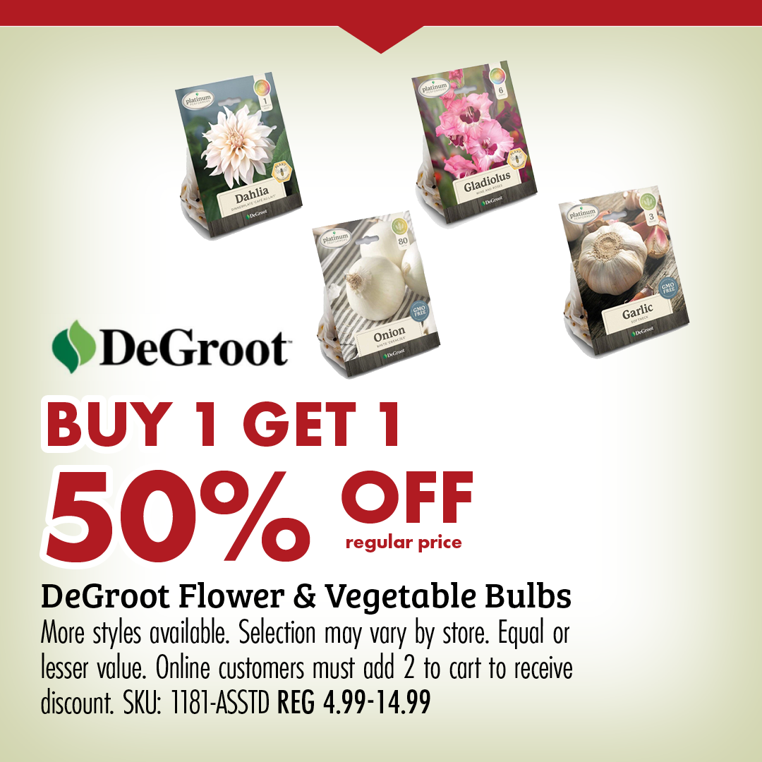 BUY 1 GET 1 50% OFF regular price Degroot Flower & Vegetable Bulbs More styles available. Selection may vary by store. Equal or lesser value. Online customers must add 2 to cart to receive discount. SKU: 1181-ASSTD REG 4.99-14.99
