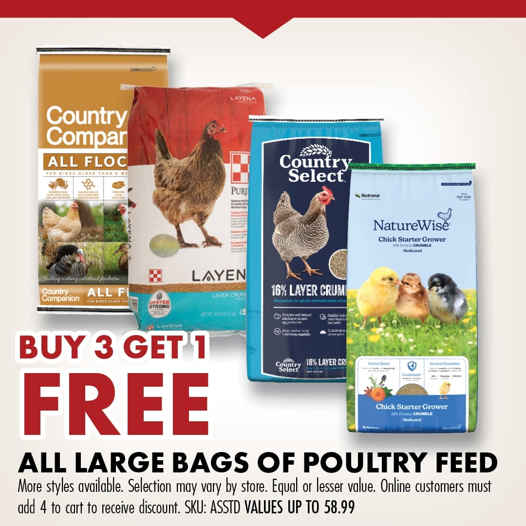 BUY 3 GET 1 FREE ALL LARGE BAGS OF POULTRY FEED