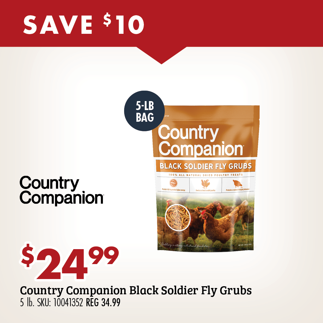 SAVE $10 Country Companion Black Soldier Fly Grubs 5 lb.
