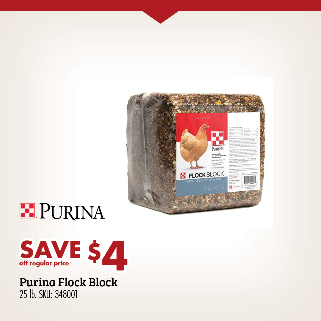 SAVE $4 Purina Flock Block 25 lb.